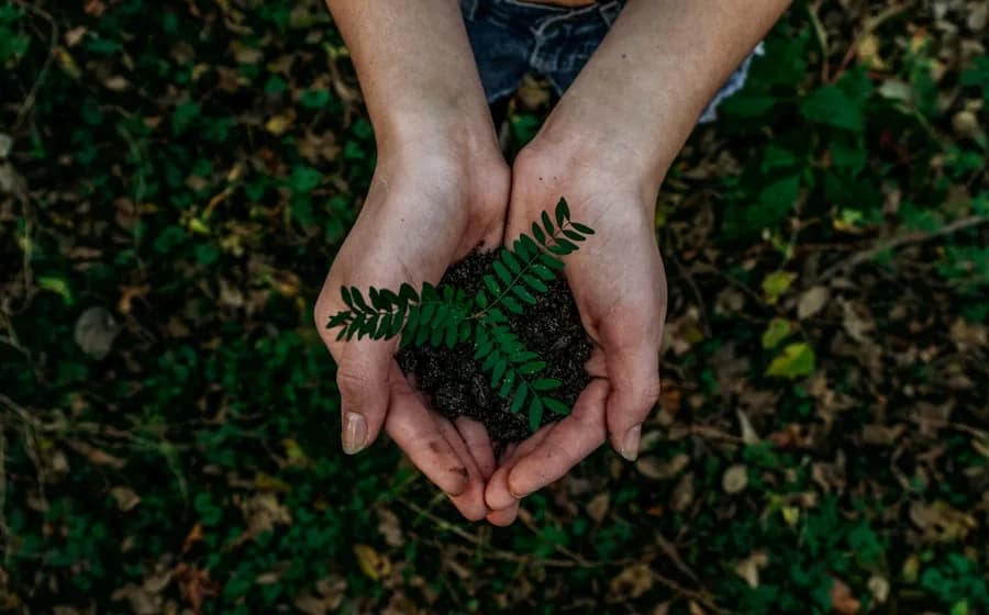 Reusable & Eco-Friendly Home Products in 2026